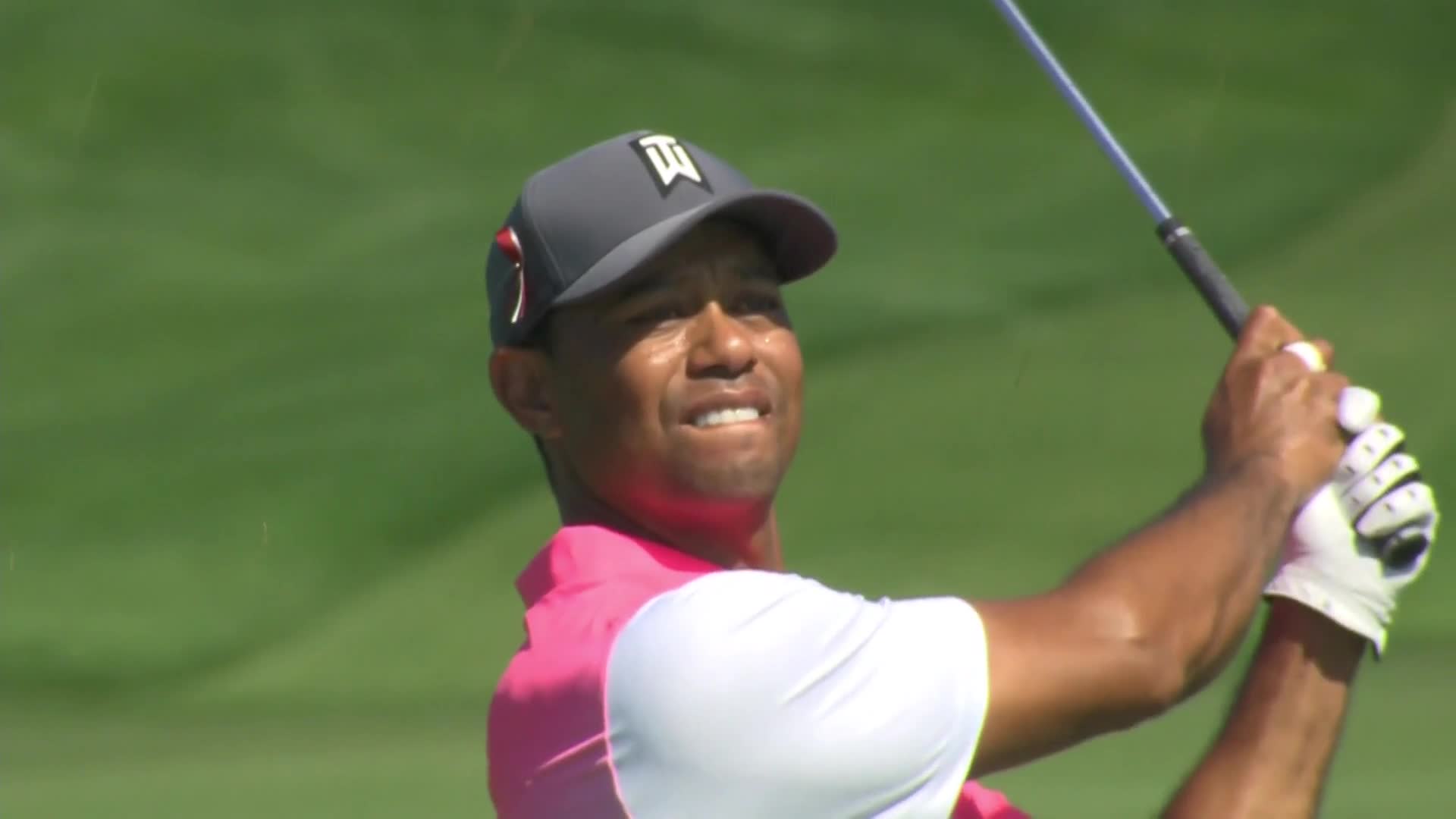 Tiger wood-1